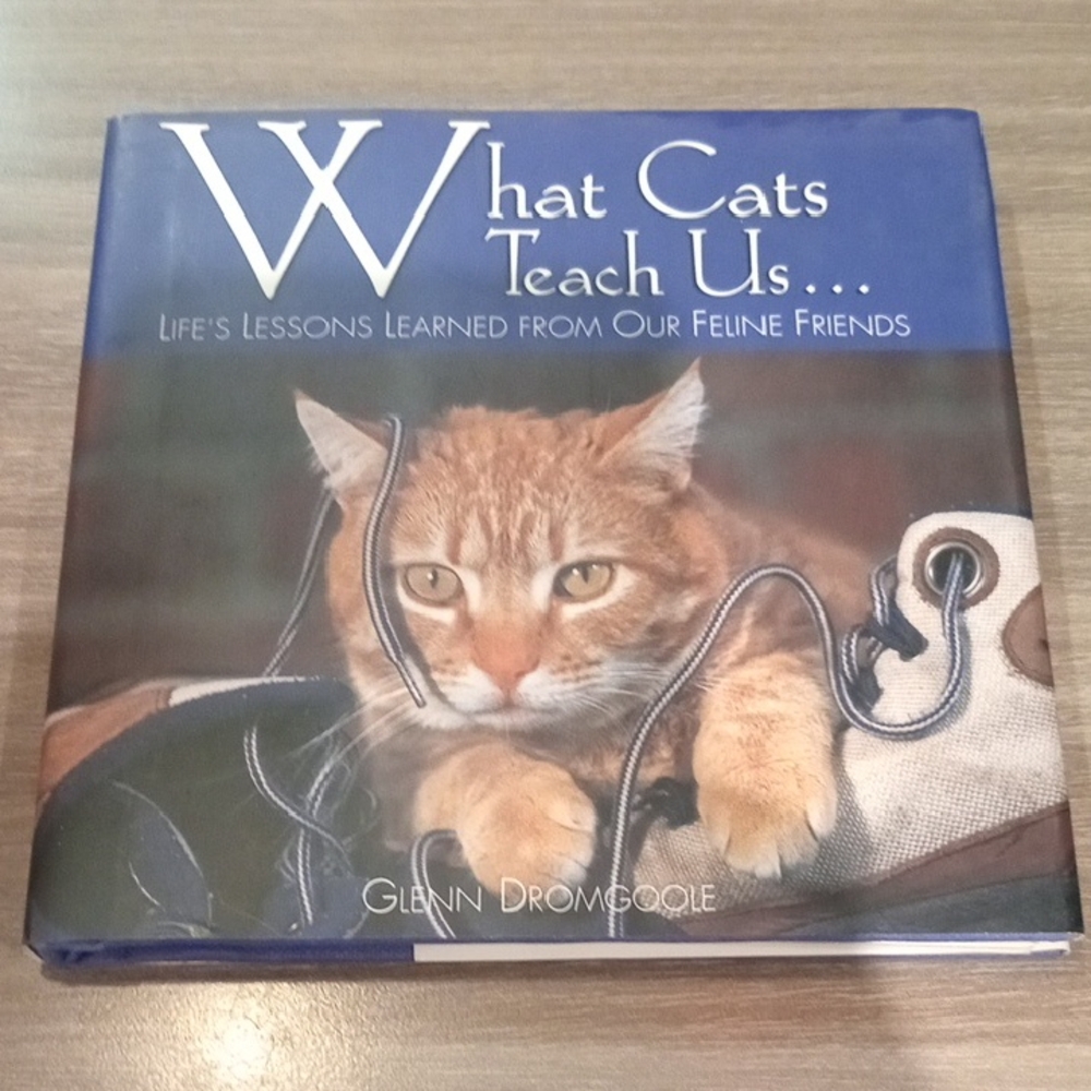 What Cats Teach Us Book by Glenn Dromgoole - Blue and Brown Cover